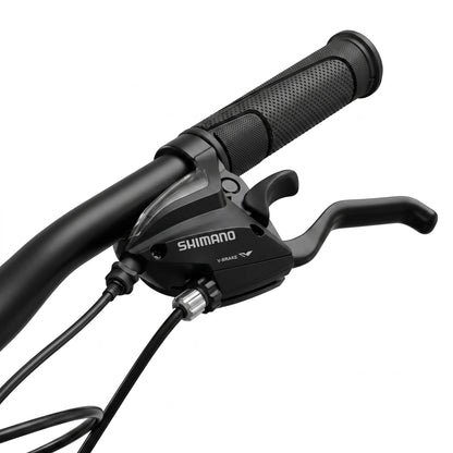 Keskin E-Bike MTB1 mountainbike 29 inch detail van remhendel brons zwart